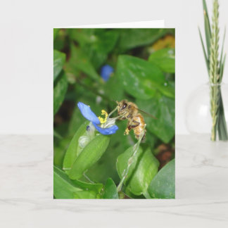 ビーカード カード