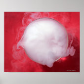 ビーカー ポスター (正面)