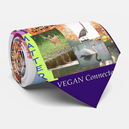 ビーガンか男女同権主義の同盟国およびBLMのタイII ネクタイ (ロール)