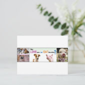 ビーガンギア違いは？ ポストカード (スタンド正面)