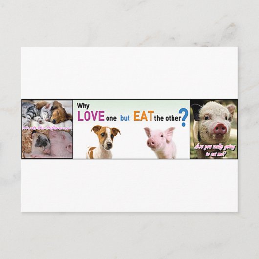 ビーガンギア違いは？ ポストカード (正面)