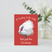 ビーガンクリスマストルコ ポストカード (スタンド正面)