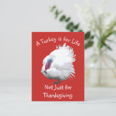 ビーガン感謝祭トルコはがき ポストカード (スタンド正面)