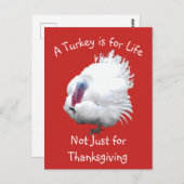 ビーガン感謝祭トルコはがき ポストカード (正面/裏面)