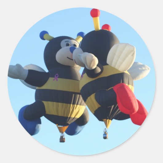 ビーキスをするツ熱気球シール ラウンドシール (正面)