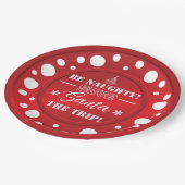 ビークリいけなスマスデザインプレート ペーパープレート (アングル)