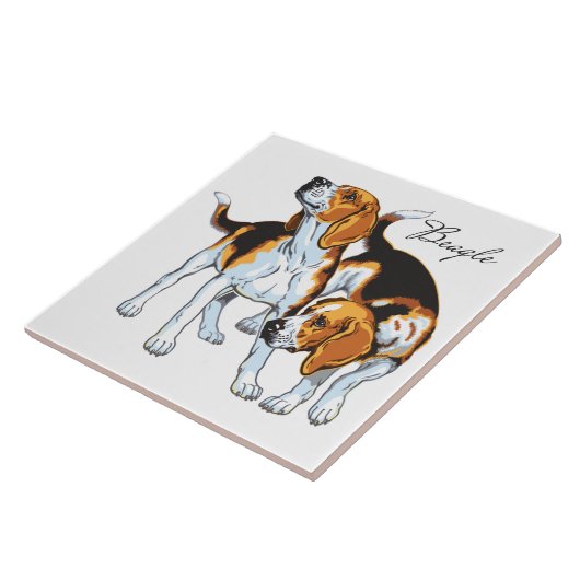 ビーグハウンド タイル (側面)