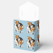 ビーグハウンド フェイバーボックス (オープン)