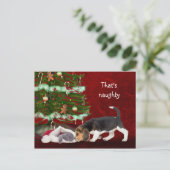 ビーグルと子猫いけなクリスマス シーズンポストカード (スタンド正面)