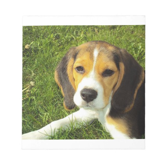 ビーグルの子犬 ノートパッド (正面)