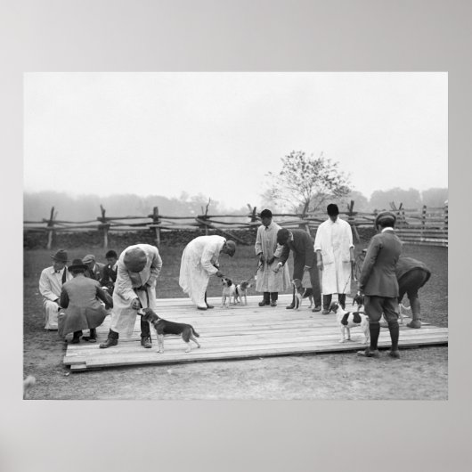 ビーグルの束， 1914 ポスター (正面)