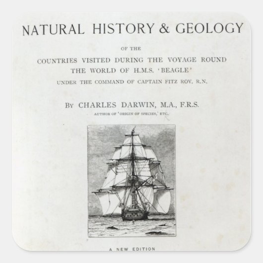 ビーグルの航海 スクエアシール (正面)