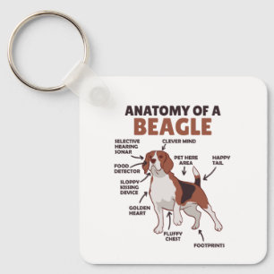 ビーグルの解剖学かわいい犬のおもしろい犬ビーグル キーホルダー
