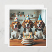 ビーグルの誕生日ビーグルのカード 招待状 (正面/裏面)