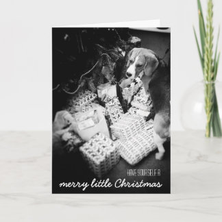 ビーグルクリスマスカードのルパート シーズンカード