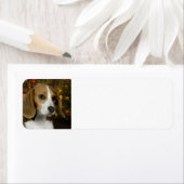 ビーグルクリスマス差出人住所ラベル ラベル (インサイチュ)