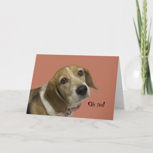 ビーグルドッグ誕生日カード カード (正面)