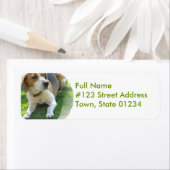 ビーグルハウンドッグ差出人住所ラベル ラベル (インサイチュ)