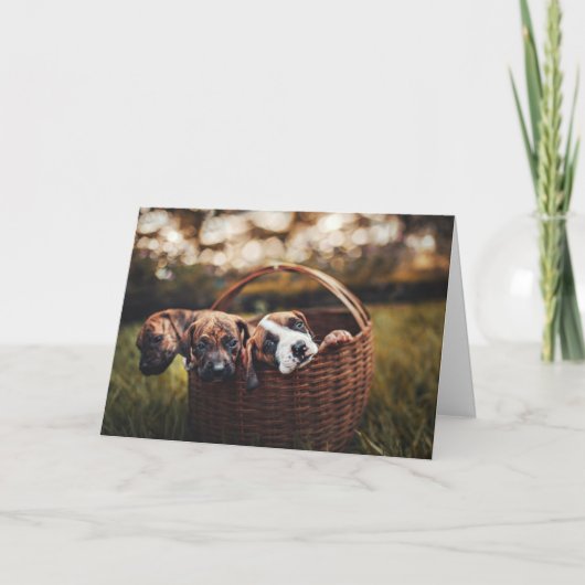 ビーグルハウンドラバードッグパピーズ考えドッグズオブユー カード (正面)