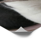 ビーグルパッププリント ポスター (角)