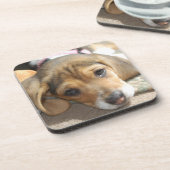 ビーグルパピーコースター コースター (左側)