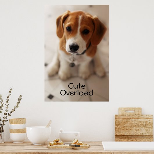 ビーグルパピー2 ポスター (キッチン)