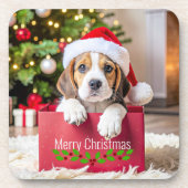 ビーグルパピー クリスマスデザイン コースター (正面)