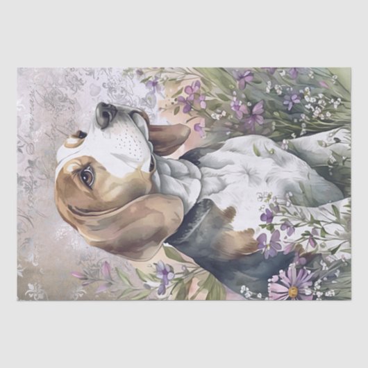ビーグルフローラ犬 薄葉紙 (正面)