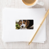 ビーグルベビードッグ ラベル (インサイチュ)