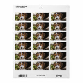 ビーグルベビードッグ ラベル (フルシート)