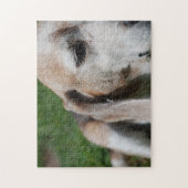 ビーグルポートレート ジグソーパズル (縦)