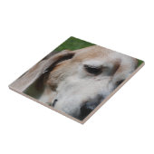 ビーグルポートレート タイル (側面)