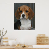 ビーグルポートレート ポスター (キッチン)
