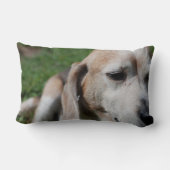 ビーグルポートレート ランバークッション (裏面)