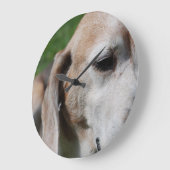 ビーグルポートレート ラージ壁時計 (傾斜)