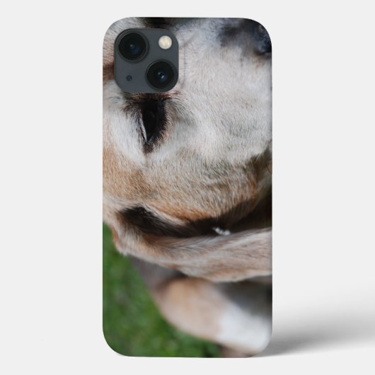ビーグルポートレート Case-Mate iPhoneケース (裏面)