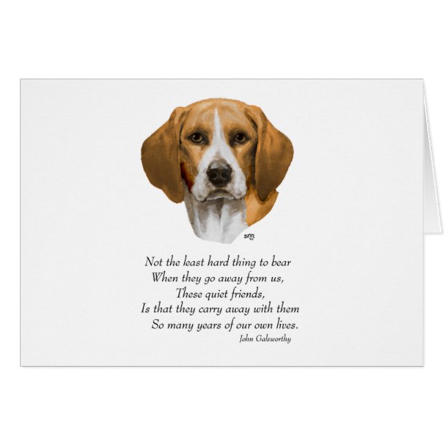 ビーグルレインボーブリッジ (正面横)