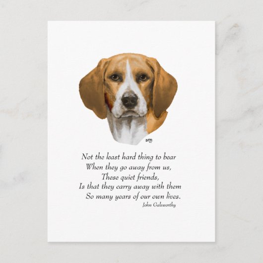 ビーグルレインボーブリッジ ポストカード (正面)