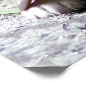 ビーグル人形のポスター ポスター (角)