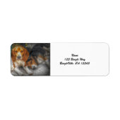 ビーグル兄弟 ラベル (正面)