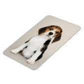 ビーグル子犬、ああ、かわいい マグネット (左側)