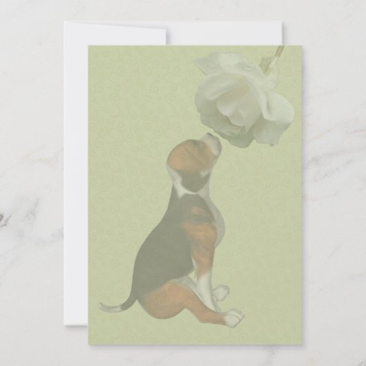 ビーグル子犬 白いバラ かわいい動物パーティー 招待状 (裏面)