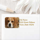 ビーグル差出人住所ラベル ラベル (インサイチュ)