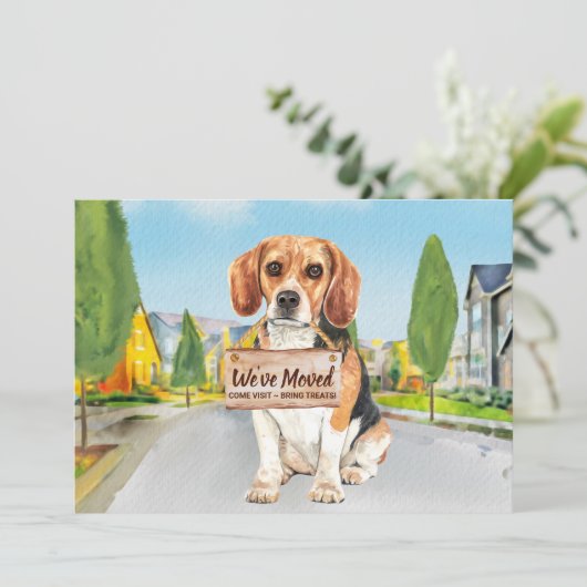 ビーグル引っ越しました新しいアドレスかわいい犬の移動 案内状 (スタンド正面)