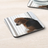 ビーグル態度 コースター (左側)