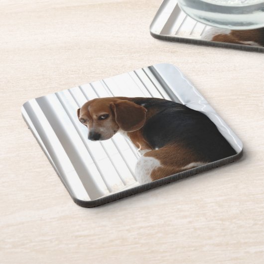 ビーグル態度 コースター (左側)