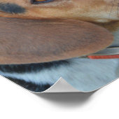 ビーグル最高のフリーズ ポスター (角)