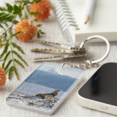 ビーグル海峡にアシカの海 – Argentina キーホルダー (正面右)