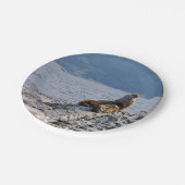 ビーグル海峡にアシカの海 – Argentina ペーパープレート (アングル)