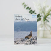 ビーグル海峡にアシカの海 – Argentina ポストカード (スタンド正面)